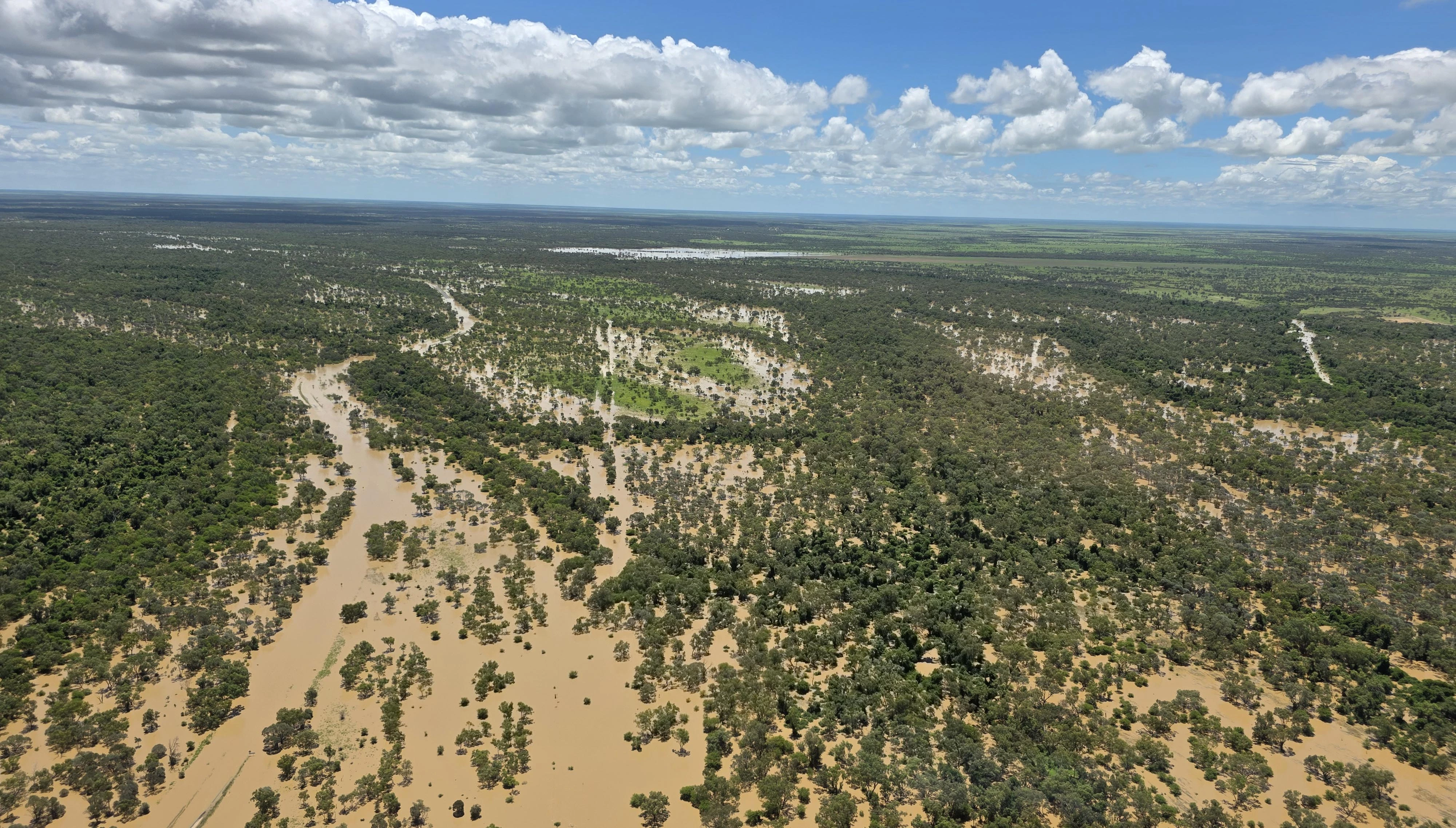 Extensive flooding in the north-west area of remote Queensland, with water up to the treetops. 