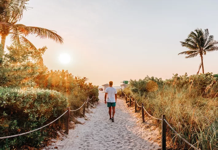 Person walking along a sandy path toward the beach at sunrise, surrounded by palm trees. 