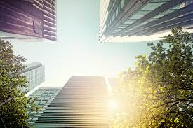 Skyscrapers and trees viewed from below with sunlight breaking through