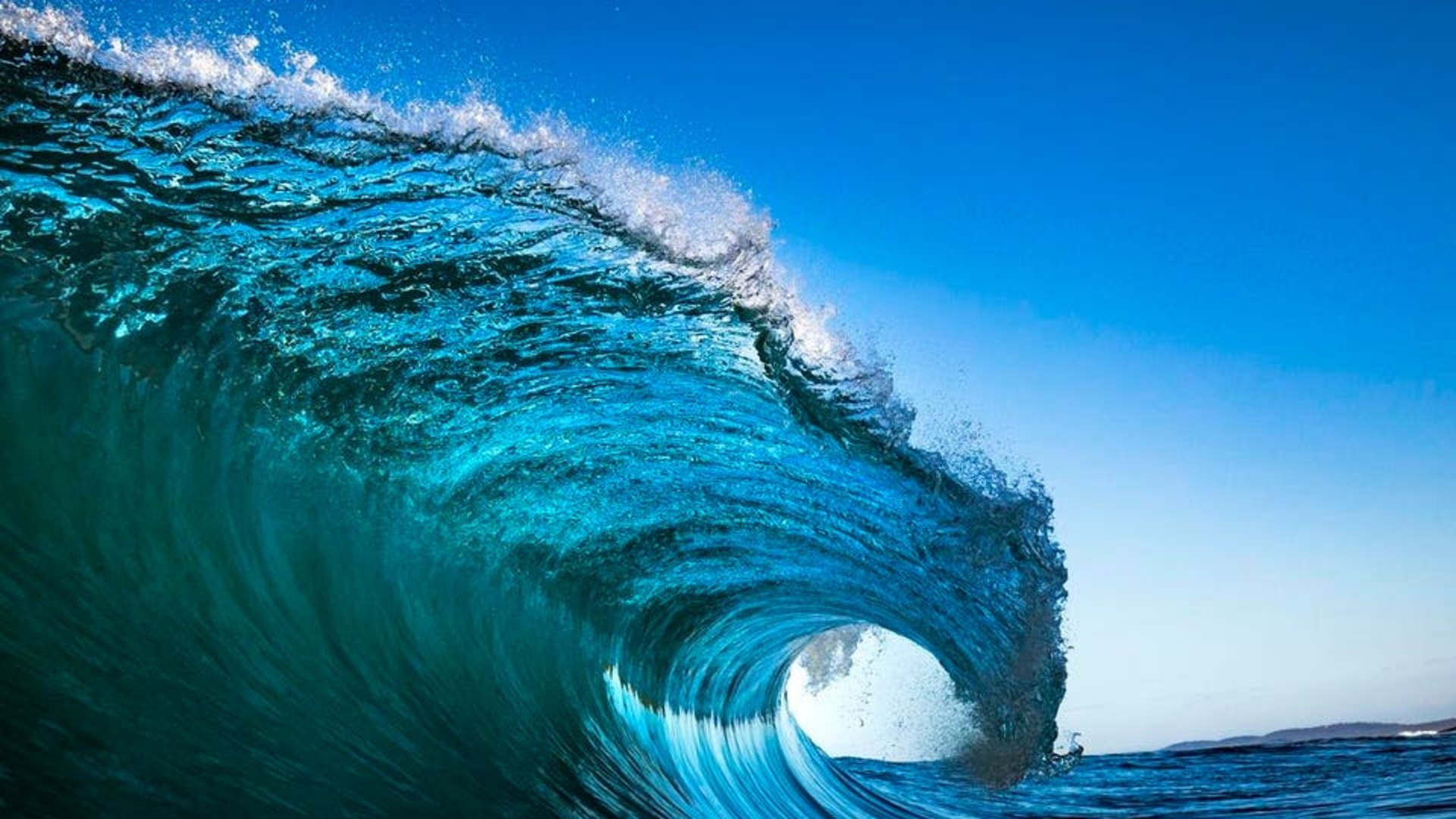 In Pennsylvania, The Blue Wave Sweeps A Once-Conservative School Board