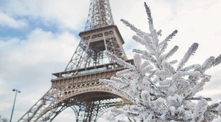 The Eiffel Tower with a snow-covered Christmas tree in front