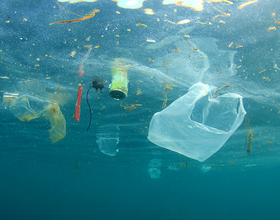 Empat Jenis Sampah Plastik Paling Umum dan Tips untuk Mengurangi Penggunaannya