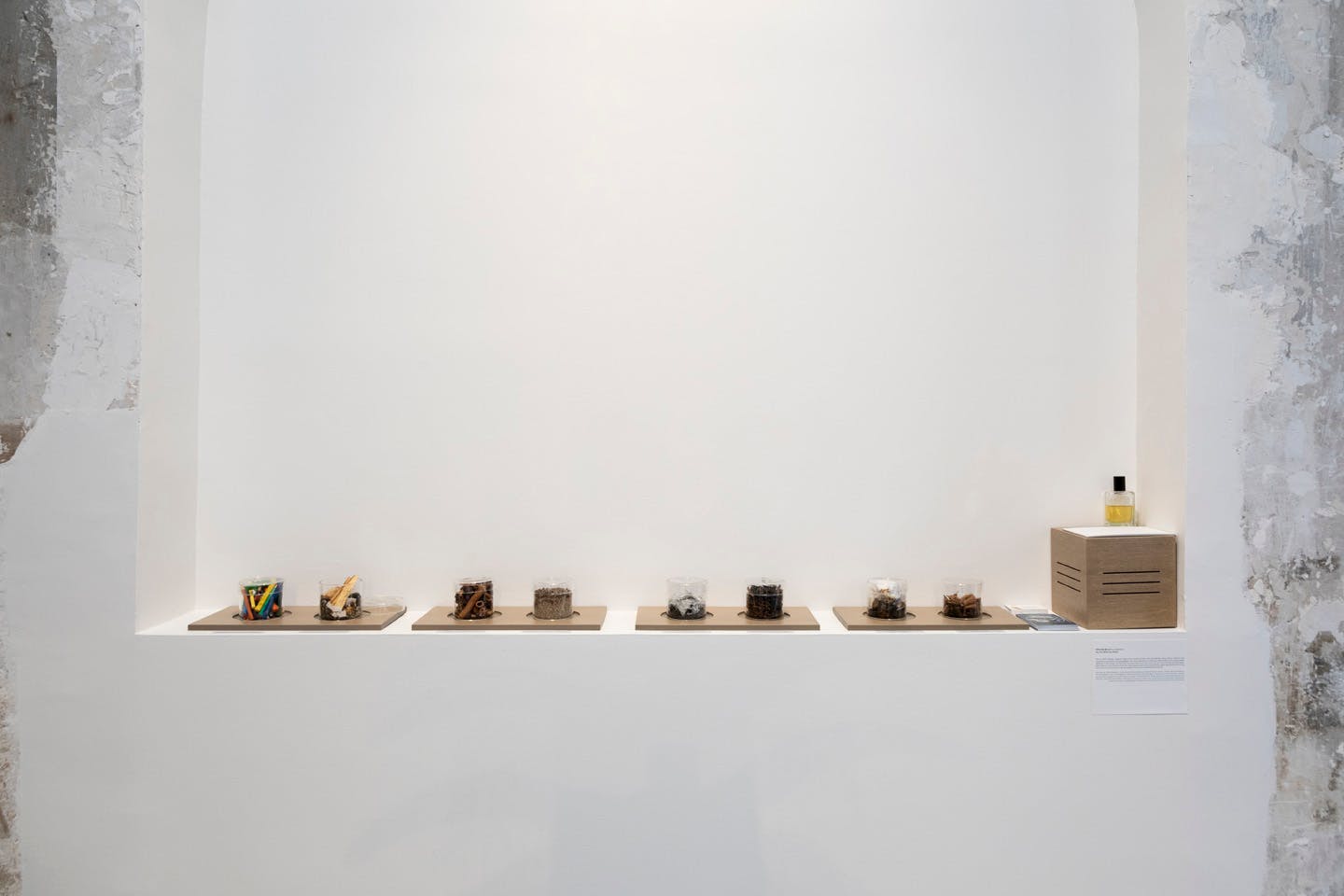 Row of jars containing natural materials and spices on gallery shelf