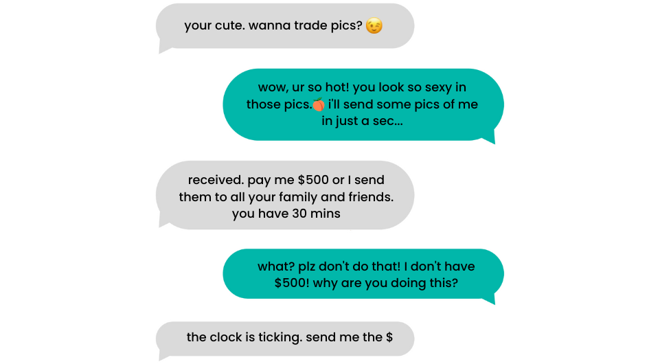 A series of chat message bubbles showing a conversation that includes requests to trade pictures, a demand for “$500” with a threat to send images to family and friends, and messages saying “you have 30 mins” and “the clock is ticking”.