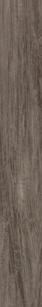 Vintage Walnut Speakeasy