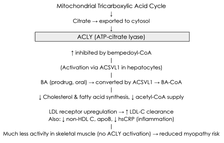 374_Richter_Central Figure_1_escardio-hPhotoLarge.jpg