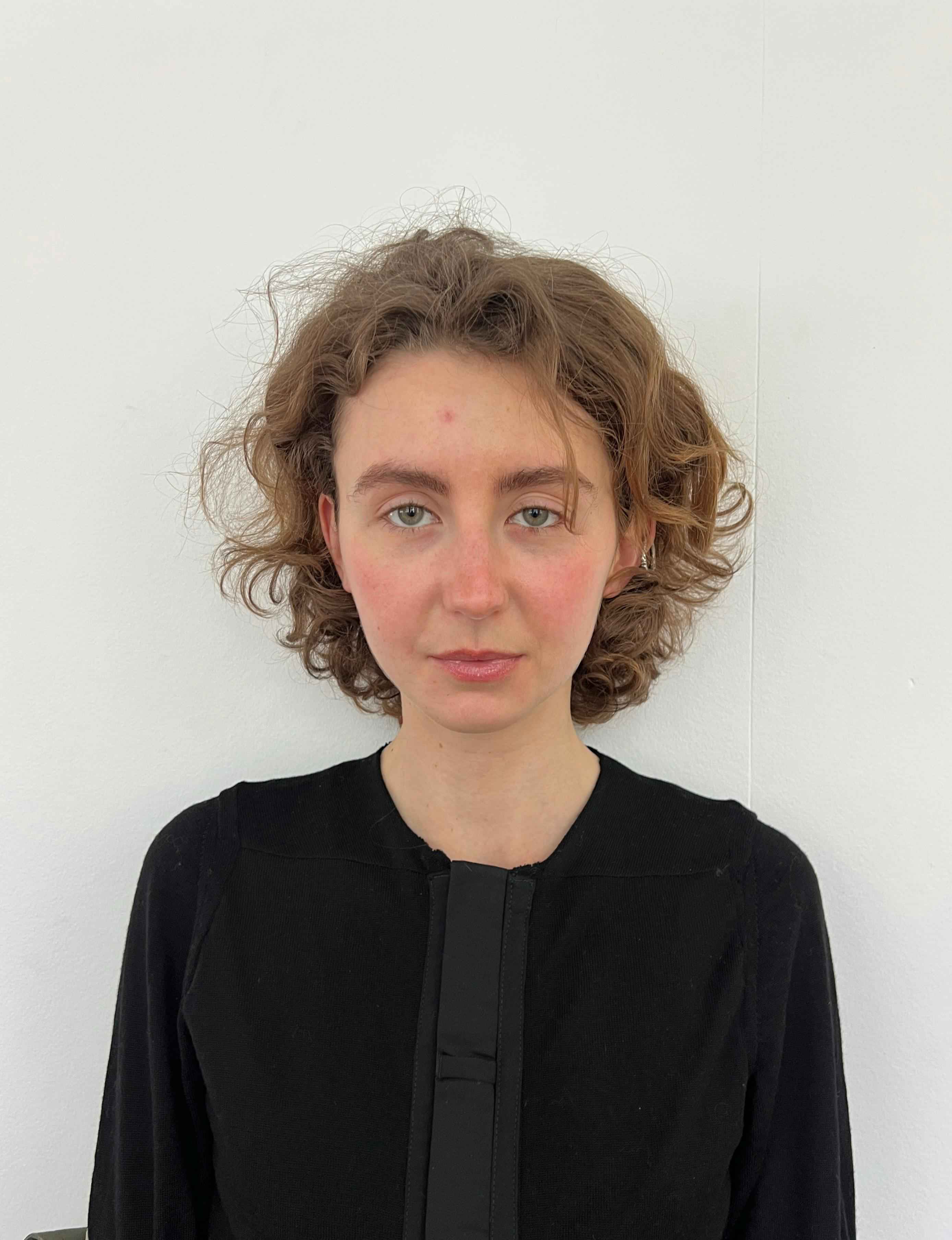 Vilda Krog