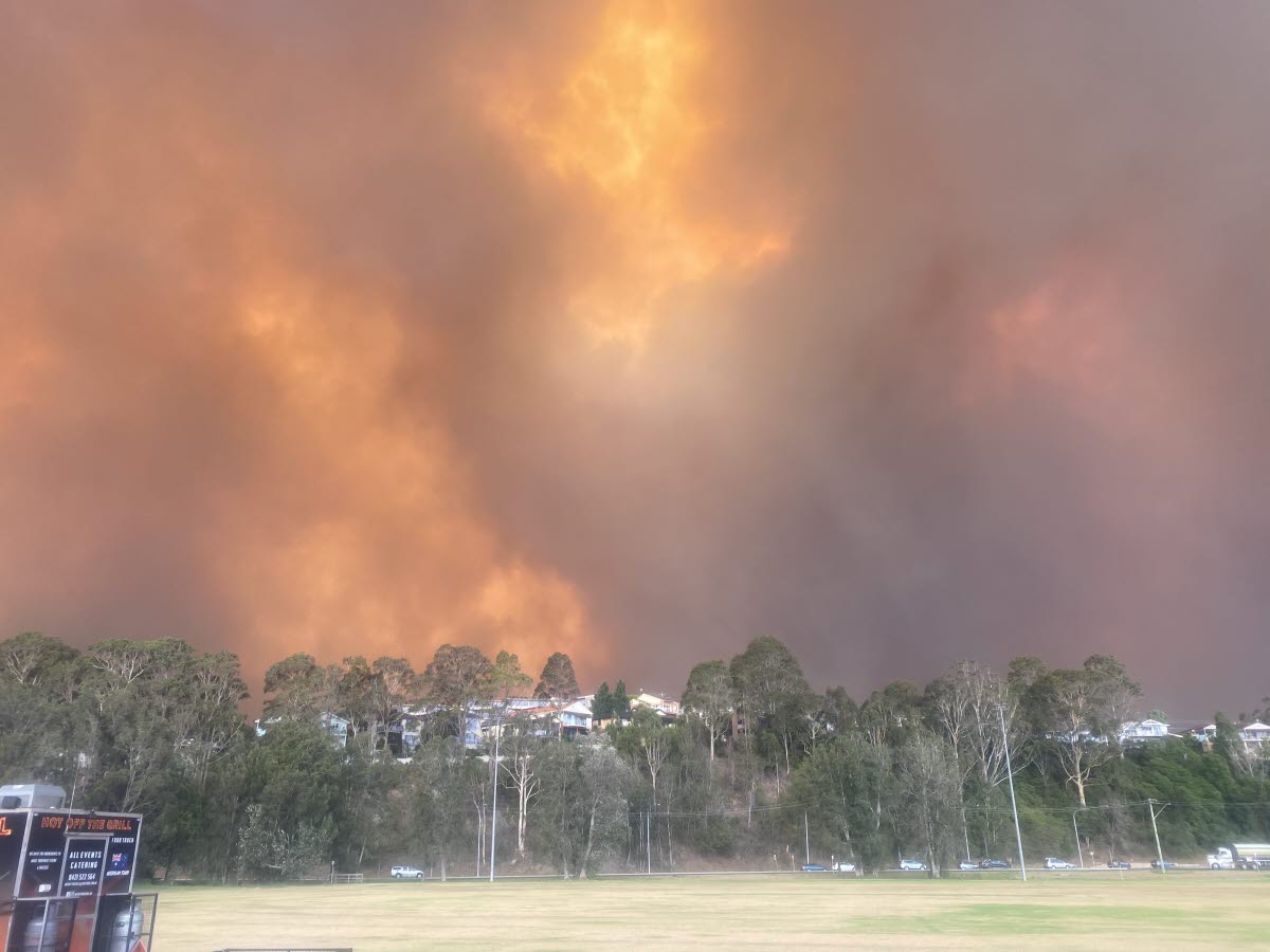 Bushfire_NSW_2020_2 (Credit: Kate Toyer) - request permission