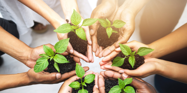 Cropped shot of a group of unrecognizable people holding plants growing out of soil