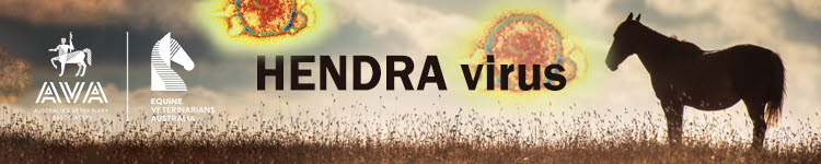 Hendra banner - EVA