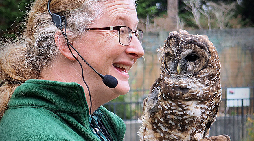 16188-owl-lecture-c.jpg