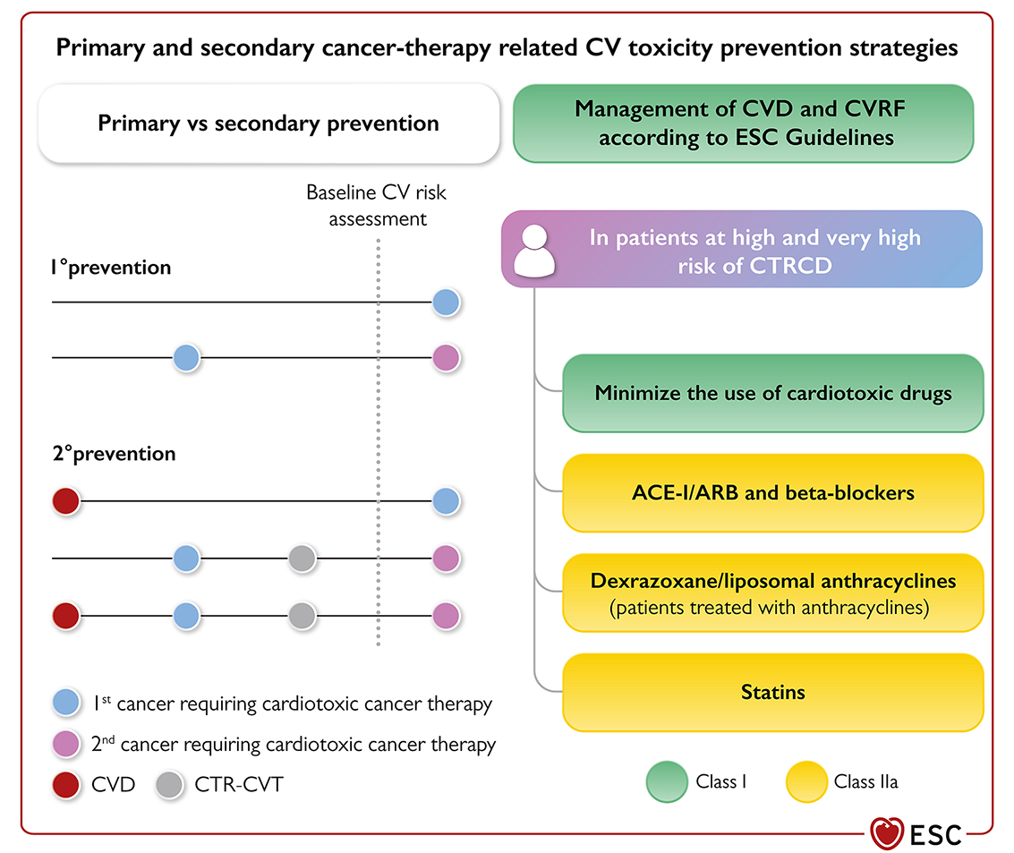 317_Lopez_Dent_Figure 2 .jpg