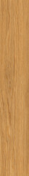 Honey Oak