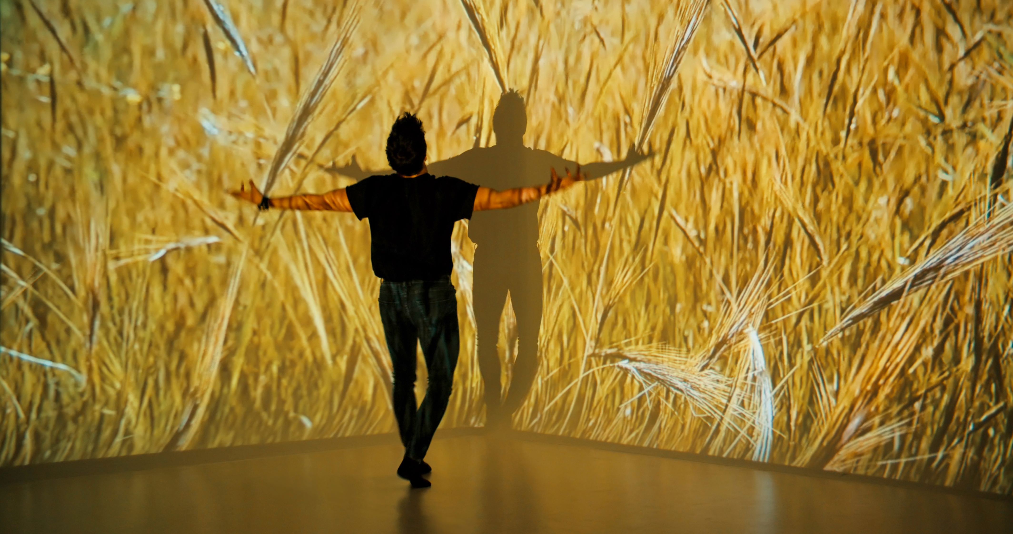 A man in a black t-shirt experiences projection mapping of wheat in an indoor space.