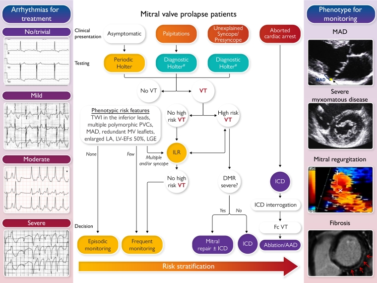 Central Illustration v2_escardio-hPhotoLarge.jpg