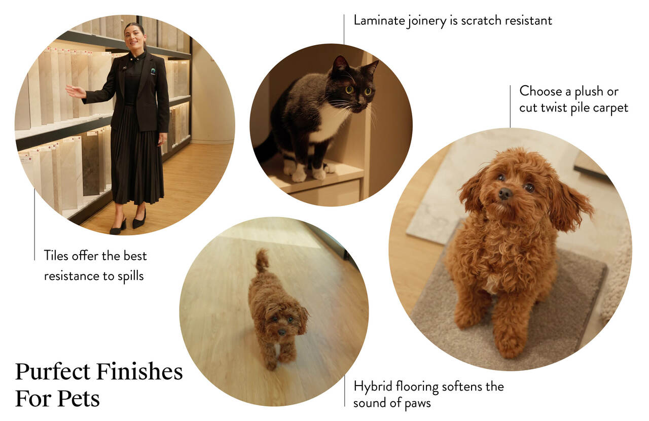 CH183 Pet-friendly finishes for your new home body2.jpg