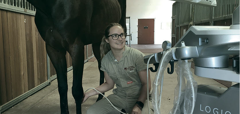 veterinarian - female - equine - content page hero