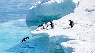 23705-icebergs-penguins-otherworldly-antarctica-smhoz.jpg