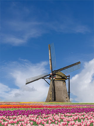 24933-NL-Amsterdam-Windmill-vert.jpg