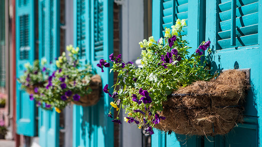 25116-US_LA_NewOrleans_Windowboxes-c.jpg