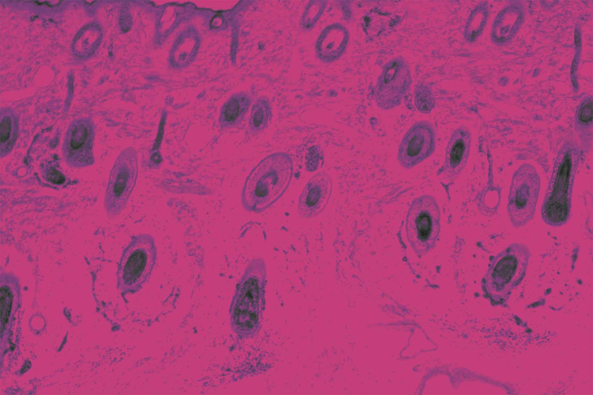 Medthority pink AdobeStock_211199018.png