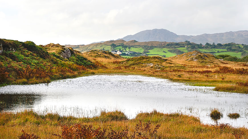 21682-IE-Sheeps-Head-Peninsula-5c.jpg