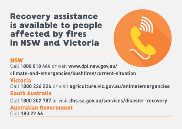 Bushfire Recovery Assistance