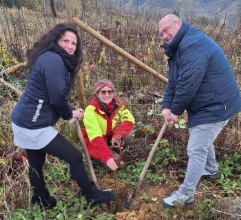 H&ouml;gan&auml;s in Germany set off for the H&ouml;gan&auml;s Forest to plant the first batch of new oaklets.