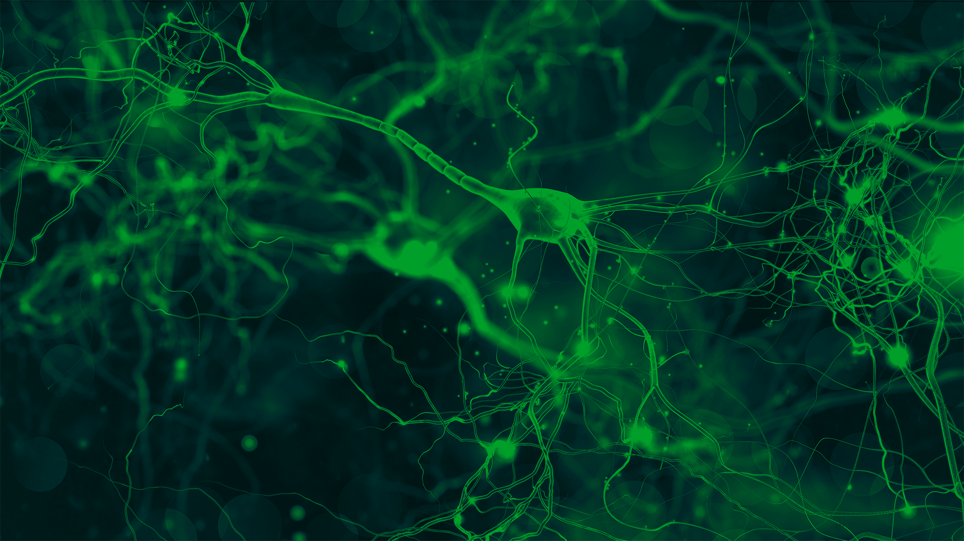 medconnect AdobeStock_170601825.png