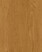 Southern Oak Honeytone