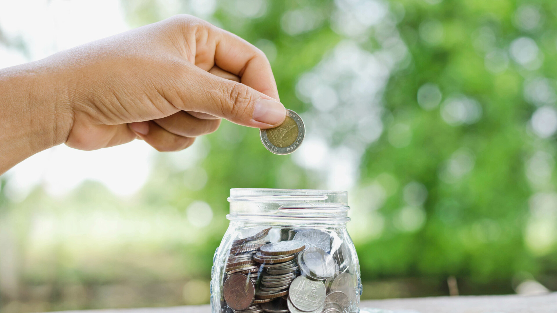 female hand putting money coins in jar concept and green nature background