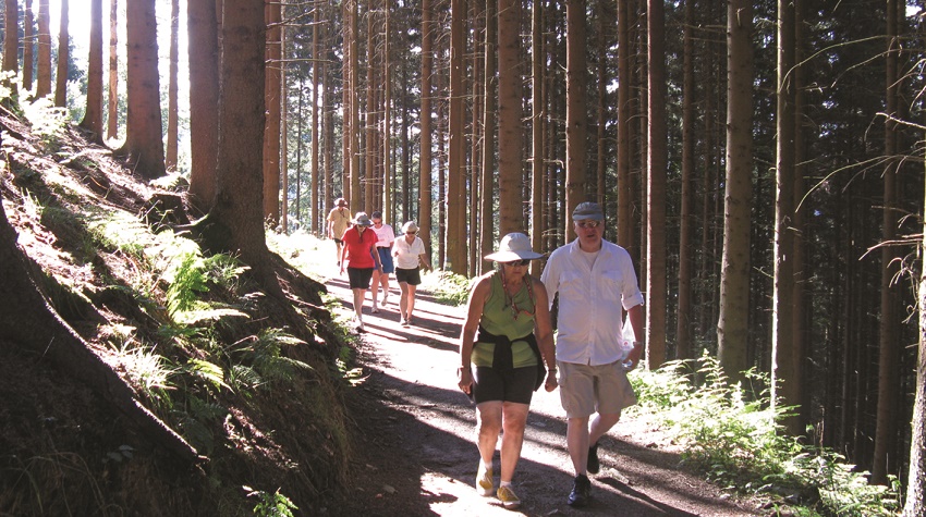 Road Scholars walk along a dirt path surrounded by trees