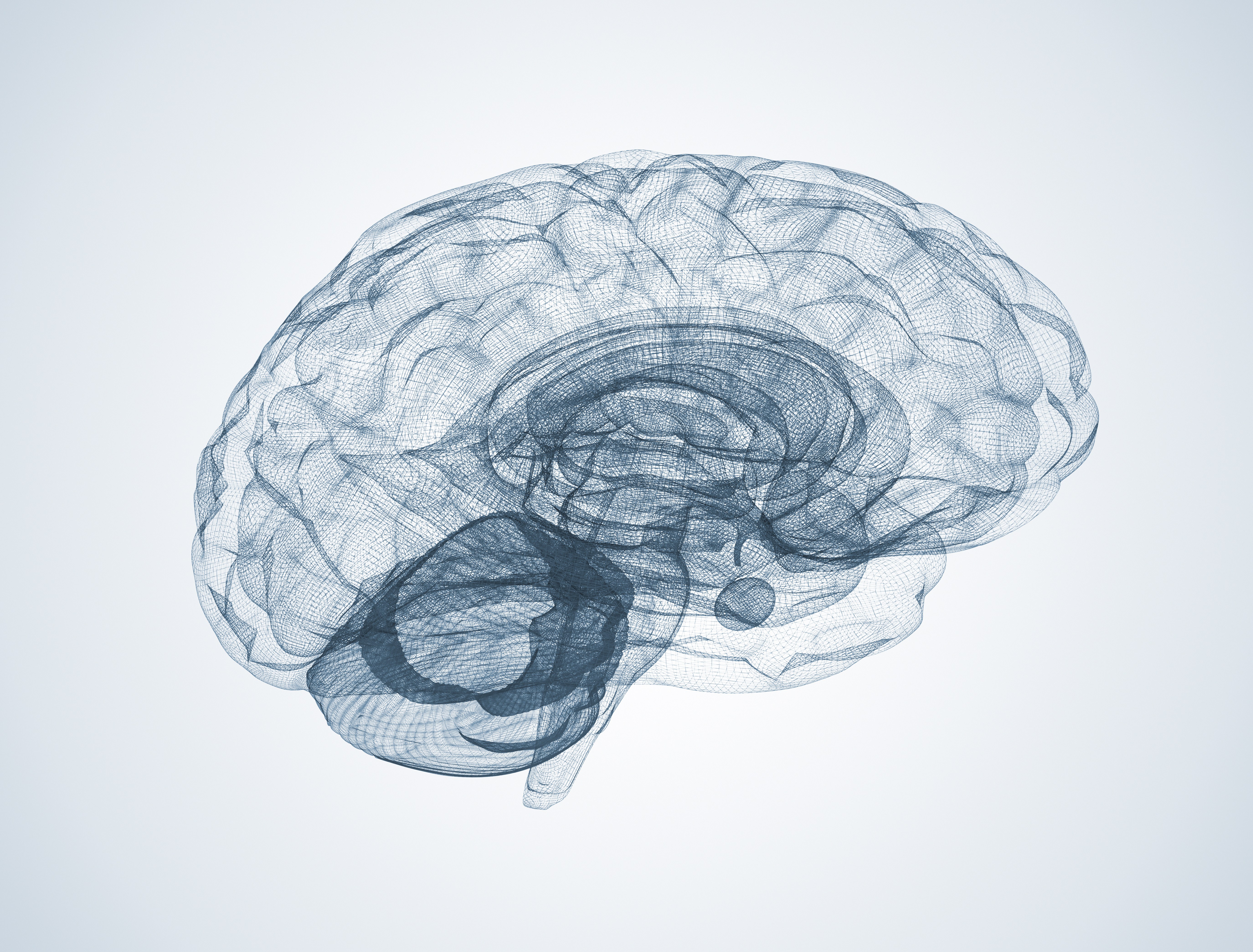 Semi-transparent blue 3D illustration of a human brain shown in side view on a light grey background.