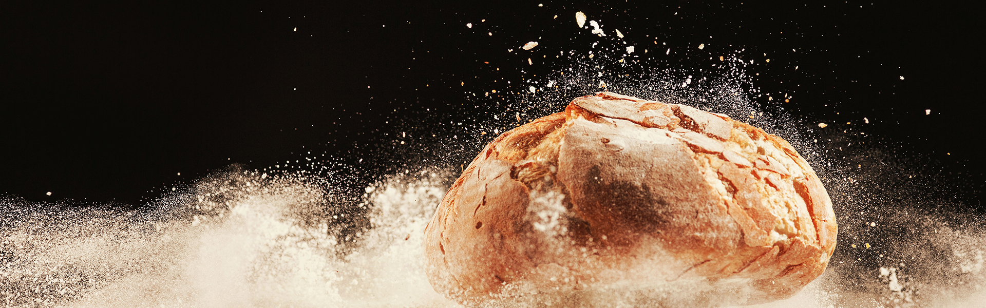 Food industry