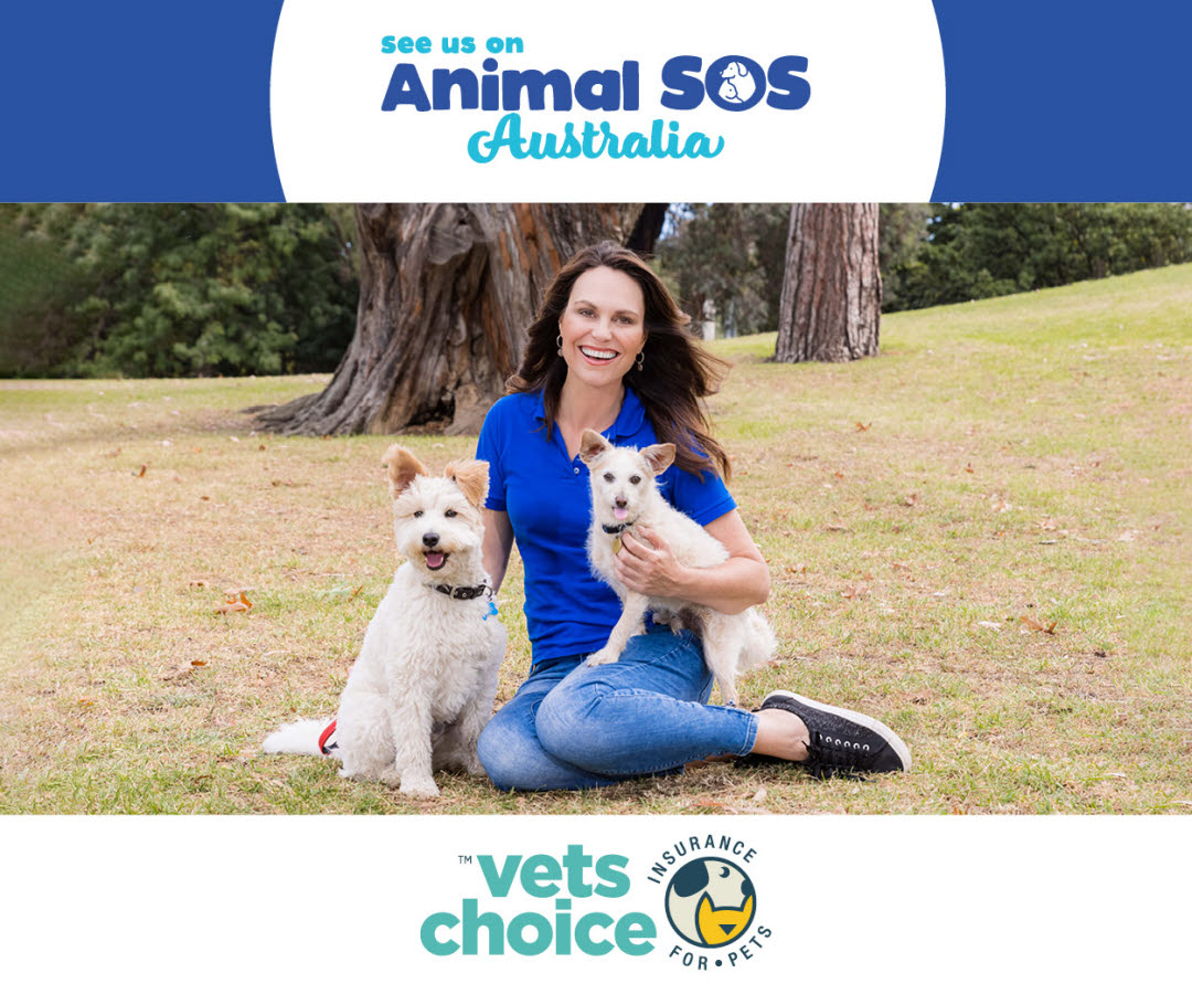 Animal SOS Australia