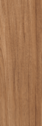 Smoothbark Hickory
