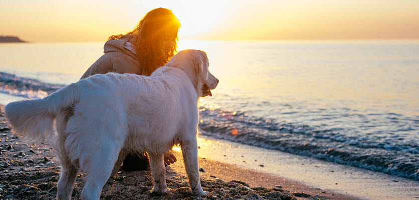 vet voice - dog - woman - beach - hero