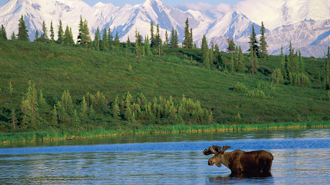 24425-Alaska-DenaliNP-2c.jpg