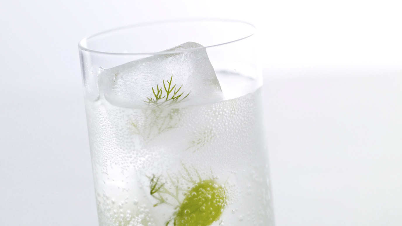 dill_mint_ice_cubes_2000x1125.jpg