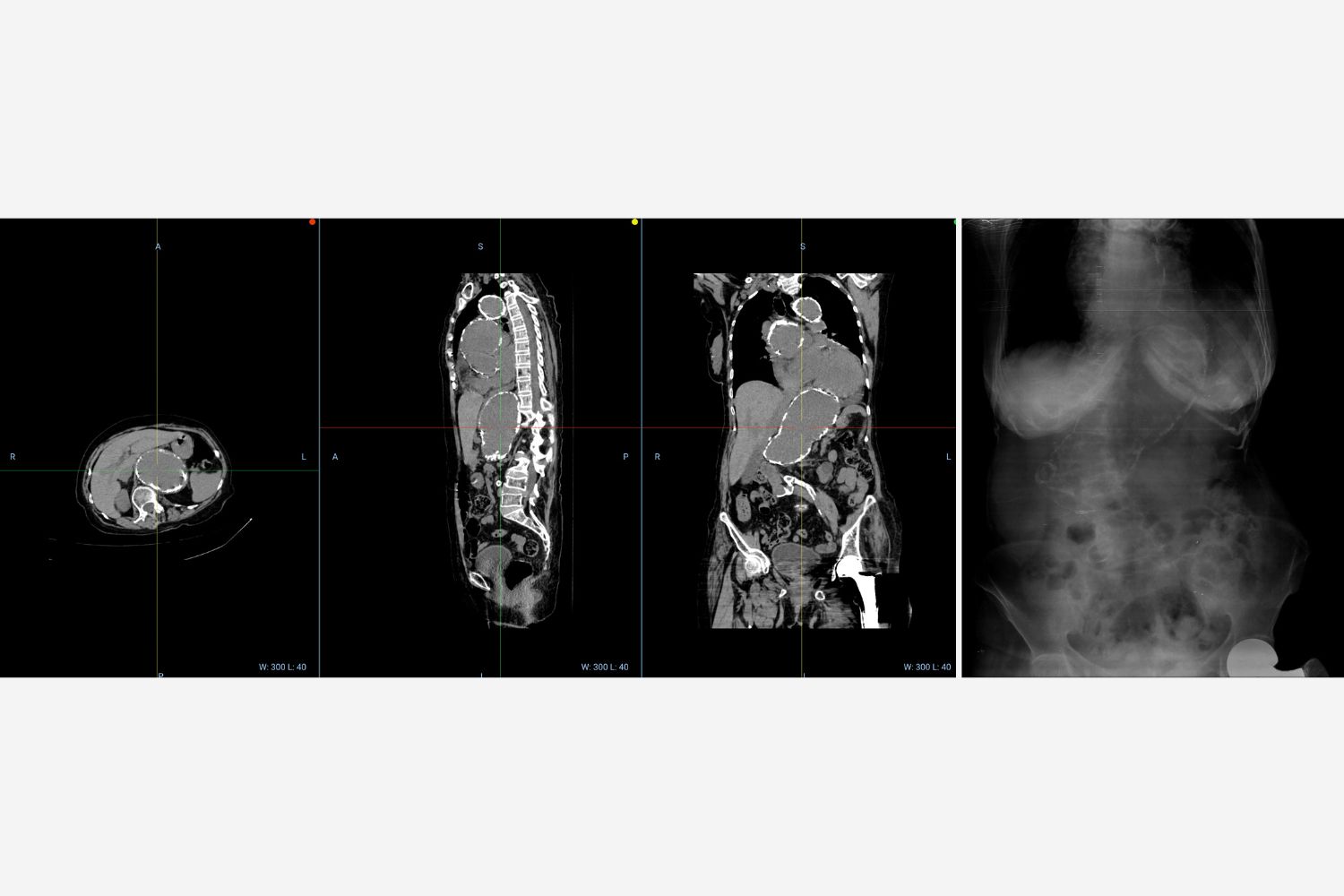 Image of the Week - 22 October 2025