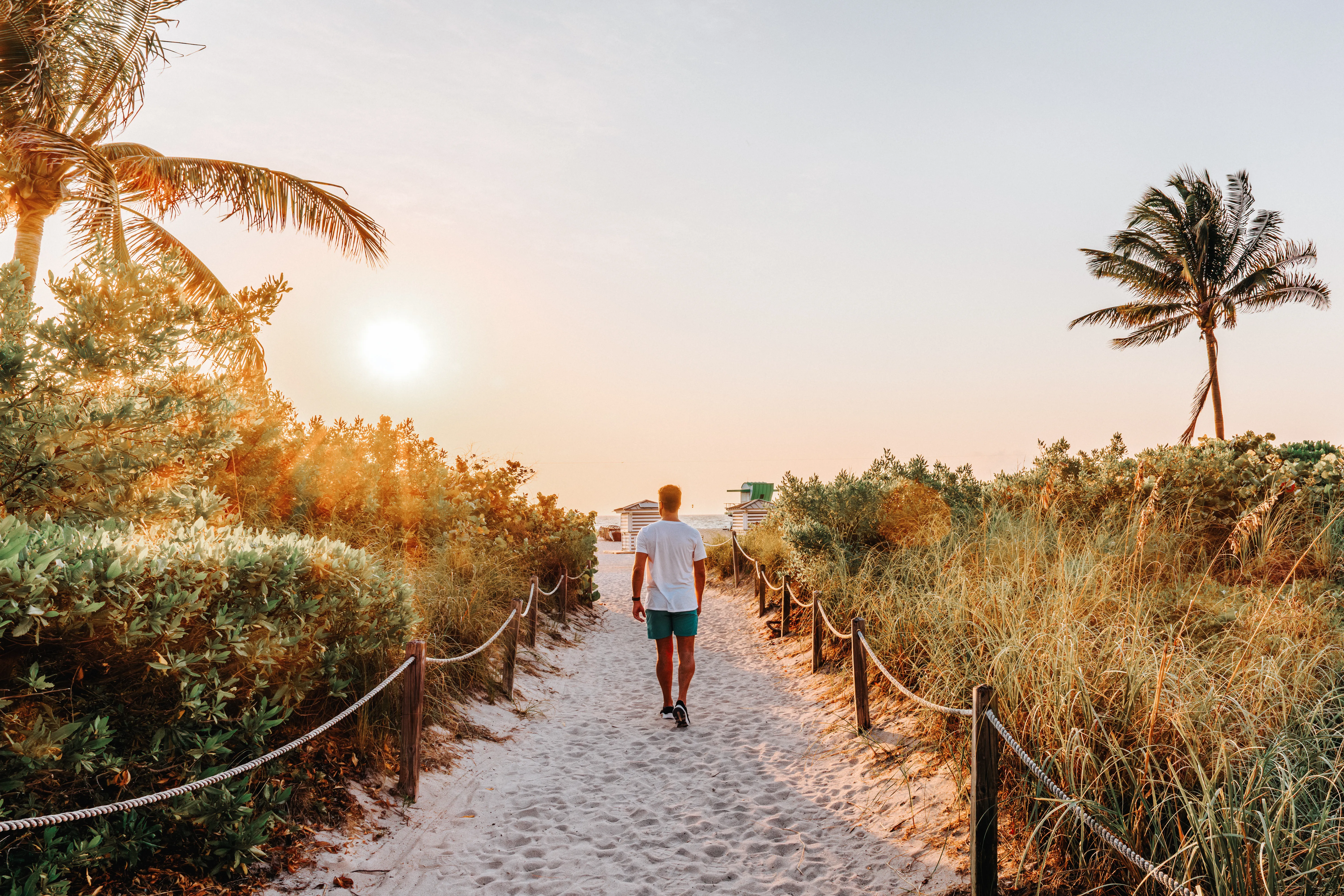 Person walking along a sandy path toward the beach at sunrise, surrounded by palm trees. 