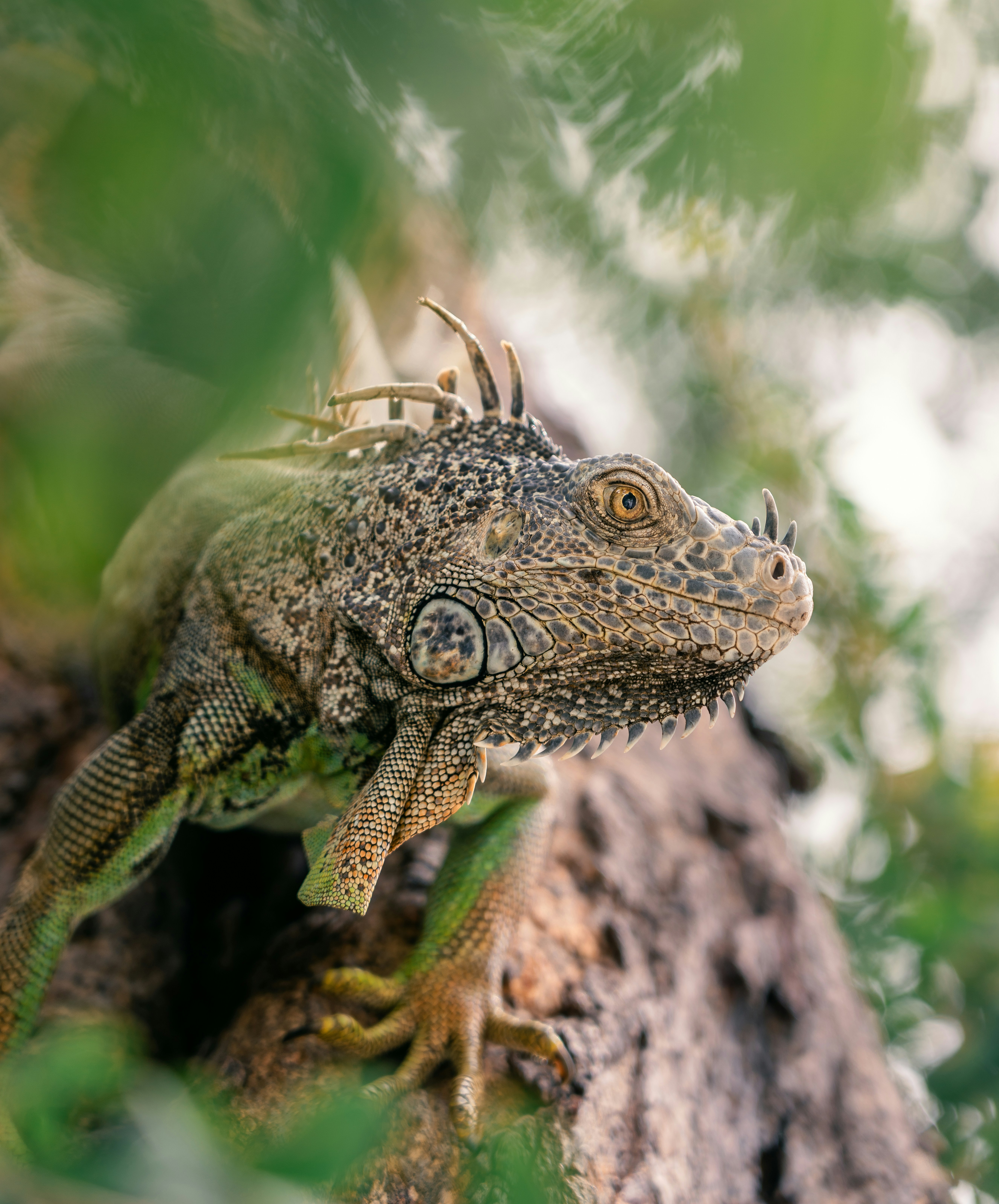 unsplash_6HXNA8985R8.jpg