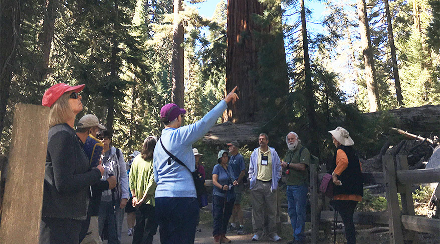 1834-Oregon-hiking-sequoia-c.jpg