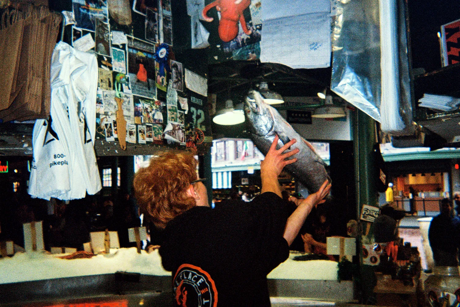 000004 1-cropped.webp
