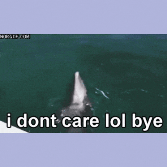 An animated clip of a dolphin swimming away with overlaid text that reads: “i dont care lol bye”.