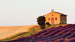 21096-france-the-best-of-southern-france-provence-and-cote-dazue-smhoz.jpg