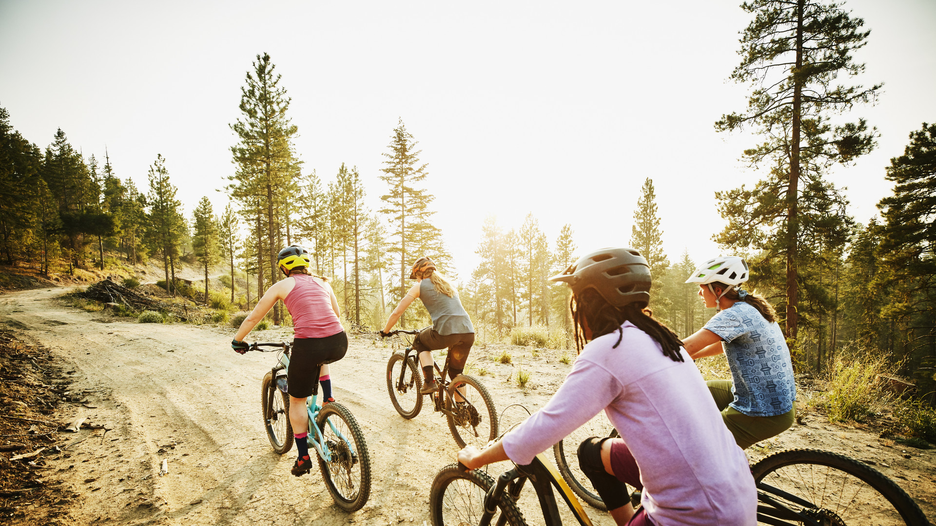 Female mountain bikers riding on forest road on summer evening