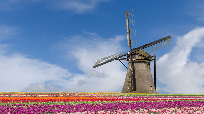 24933-NL-Amsterdam-Windmill-c.jpg
