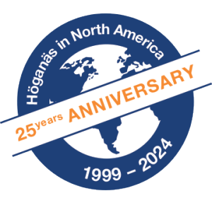 25th anniversary logo
