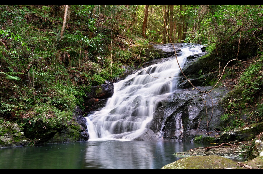 Kondalilla Falls at Kondalilla National Park on the Sunshine Coast